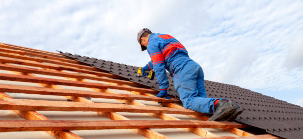Best Roof Moss and Algae Removal  in Sutton Alpine, AK